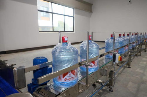 三天完成竣工驗(yàn)收審批 一天取得食品生產(chǎn)許可,張堰 拿證即生產(chǎn) 跑出金山速度